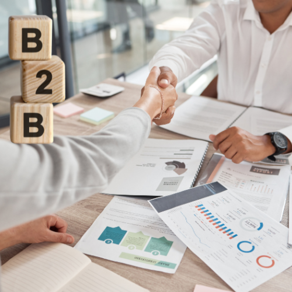 Ecommmerce for B2B Portal