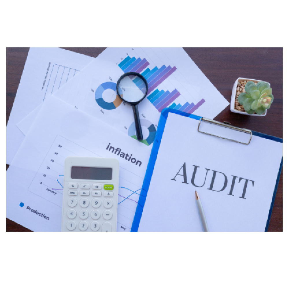 Post-Implementation Audit & Optimization